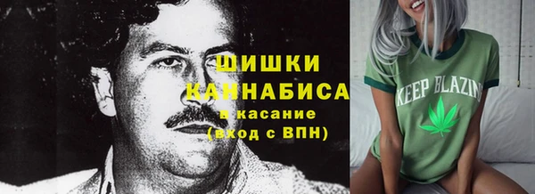 марки nbome Заводоуковск