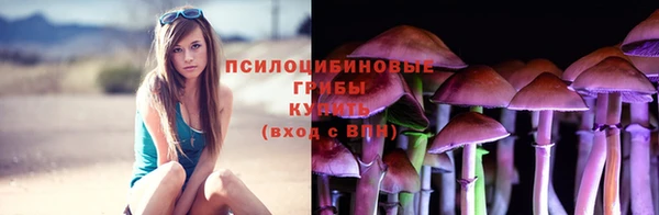 мескалин Новодвинск