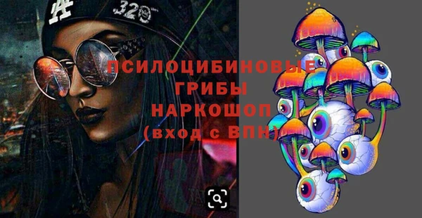 индика Нефтегорск