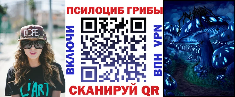 где найти   Светлогорск  Псилоцибиновые грибы ЛСД 