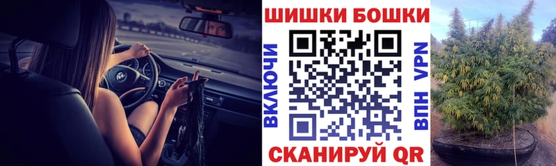 купить наркотики цена  Светлогорск  Каннабис марихуана 